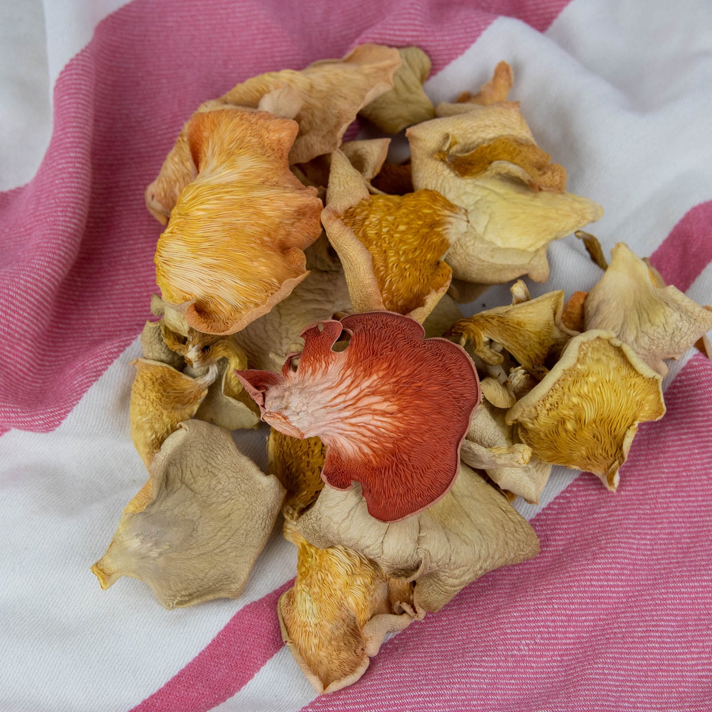 Bio-Rosenseitlinge (getrocknet), 25g