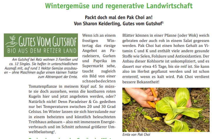 Ein Bildschirmfoto von dem Artikel in SOL-Magazin