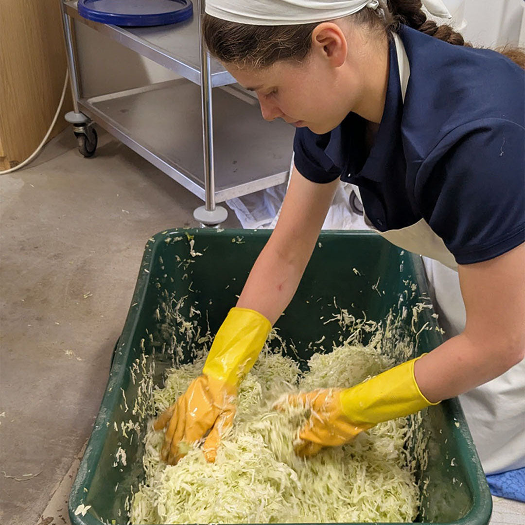 Wir machen Sauerkraut!