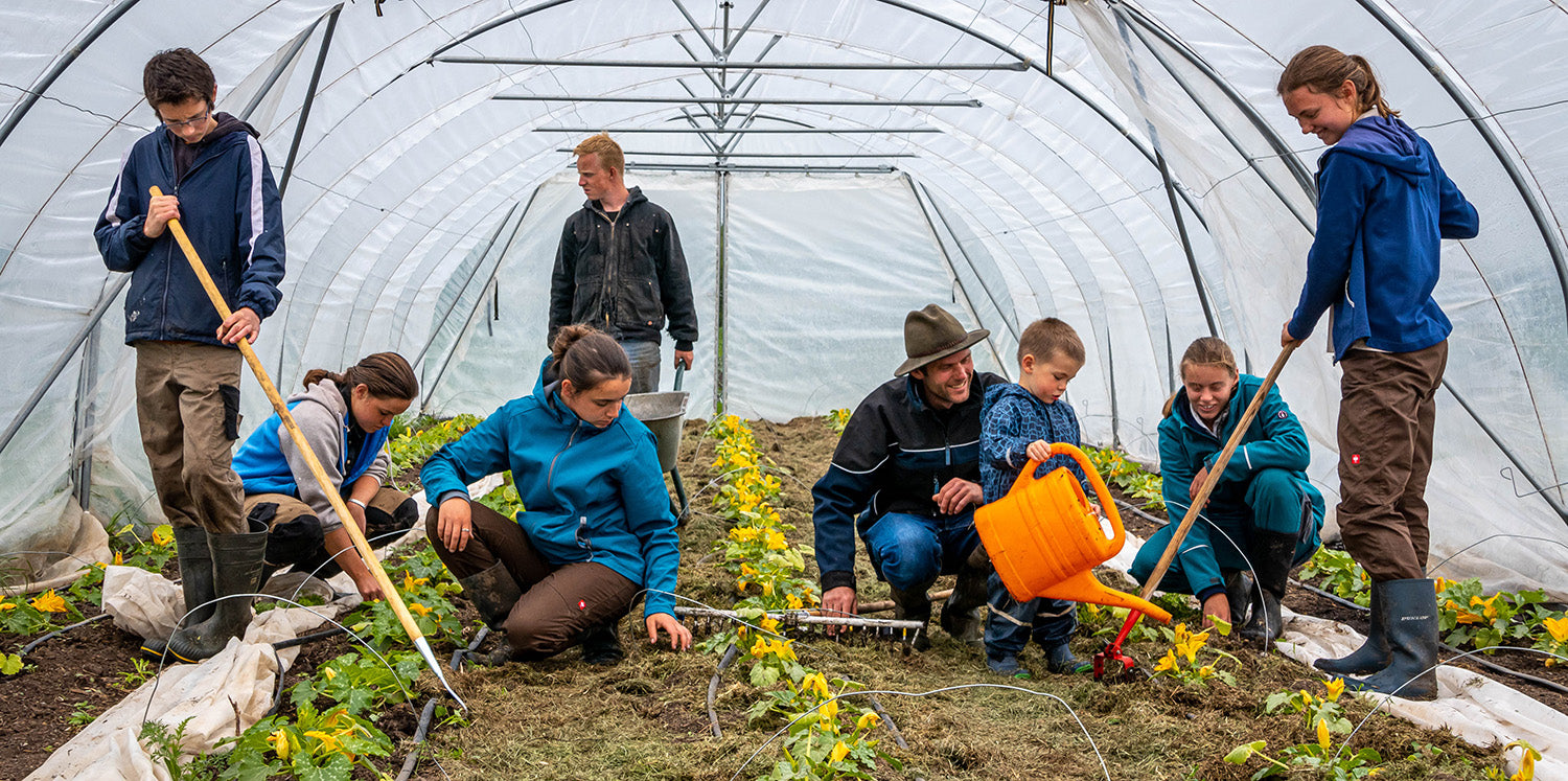 Regenerative Landwirtschaft heißt Boden zuerst.